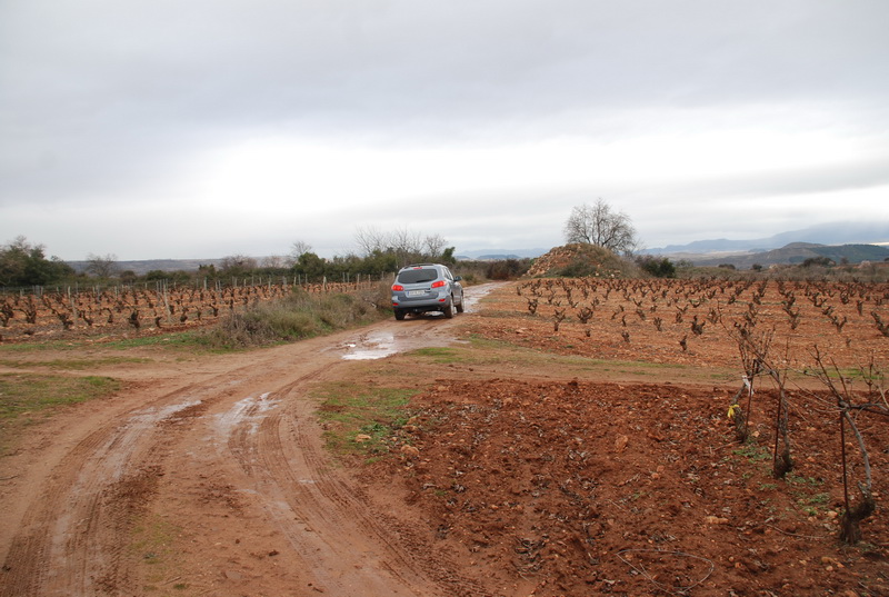 paseo joder paseo joder
